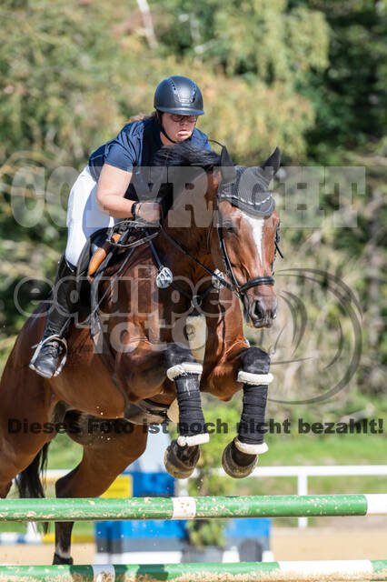RFV Dinslaken-Hiesfeld (Herbstturnier)
