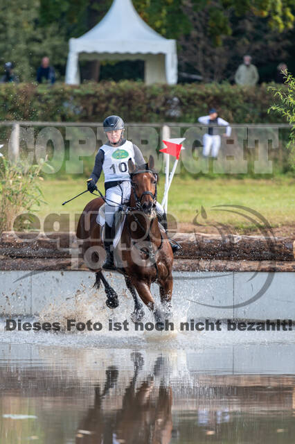Deutsche Meisterschaft Vielseitigkeit (Luhmühlen)