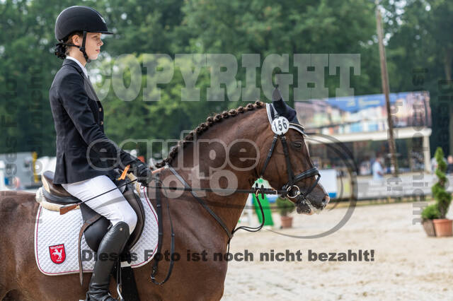 Goldene Schärpe 2021 - Ponys