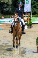 Goldene Schärpe 2021 - Ponys