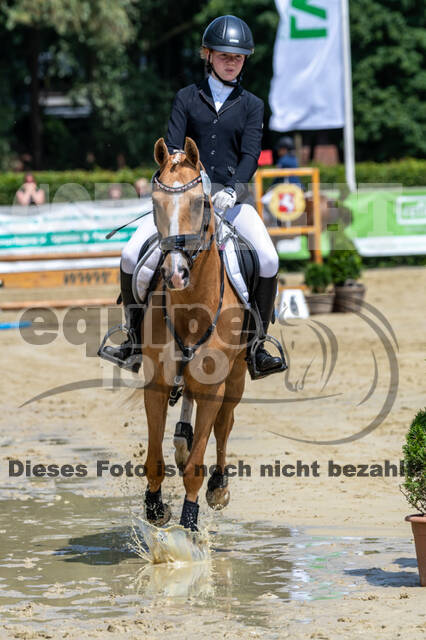 Goldene Schärpe 2021 - Ponys