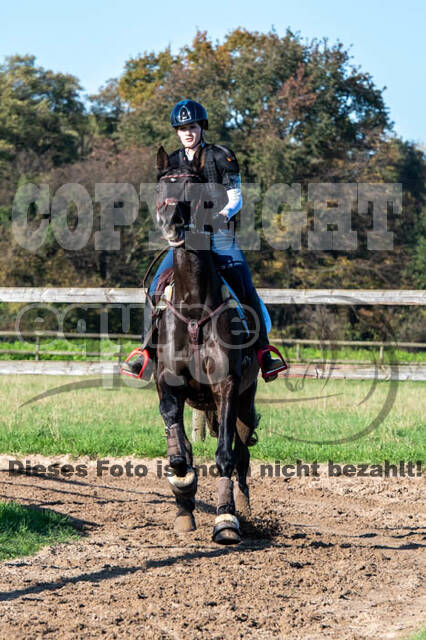 Vielseitigkeitslehrgang mit Jürg Kurbel (9.+10.11.2019)