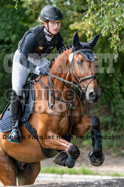 Late-Entry-Vielseitigkeit Langenfeld (06.+07.07.2020)