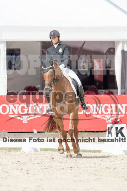 FEI European Championship Eventing 2017