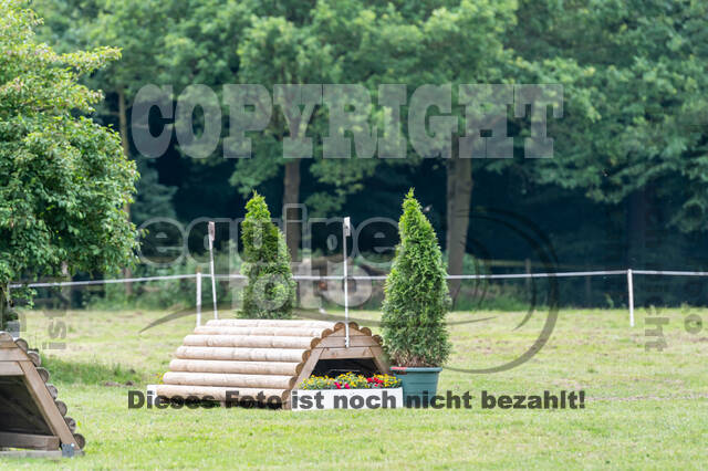 Goldene Schärpe 2021 - Ponys