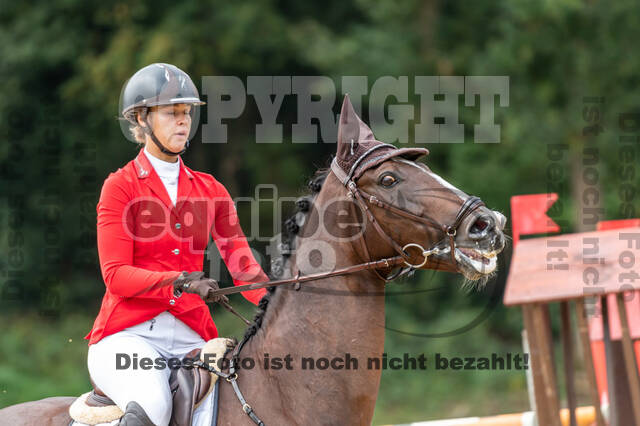 Vielseitigkeit RSV Wesel Obrighoven (26.+27.09.2020)