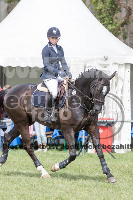 Frühjahrsvielseitigkeit RV Seydlitz Kamp