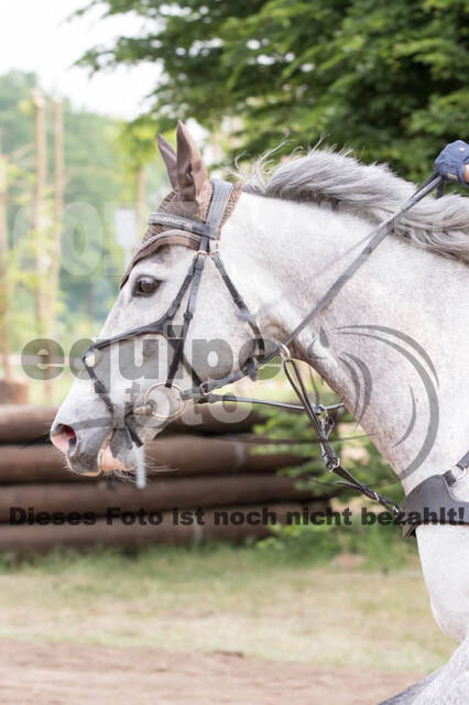 Vielseitigkeitsturnier ZRFV von Lützow Hamminkeln
