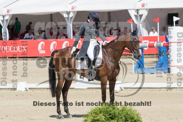 FEI European Championship Eventing 2017