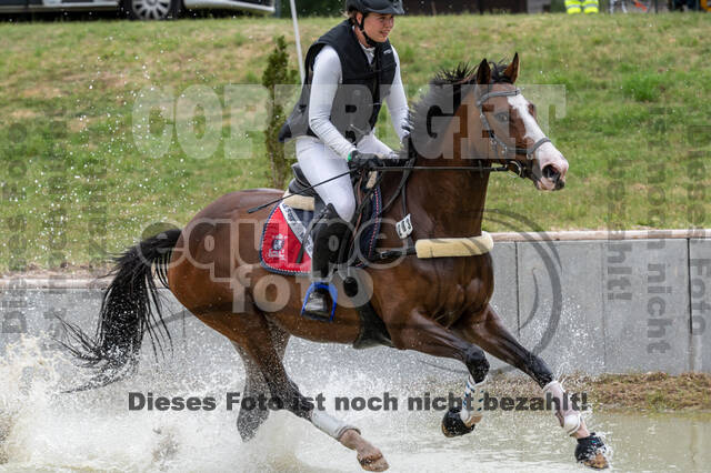 Late-Entry-Vielseitigkeit Langenfeld (11.+13./14.06.2020)