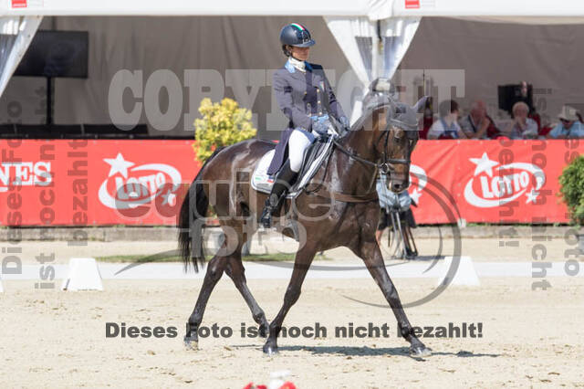 FEI European Championship