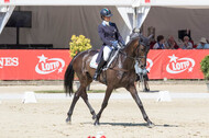 FEI European Championship