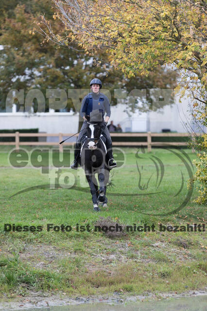 IGV Lehrgang der Sieger der Cups mit Frank Ostholt