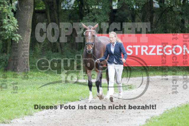 FEI European Championship Eventing 2017