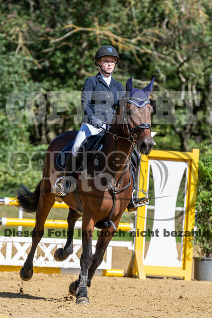 RFV Dinslaken-Hiesfeld (Herbstturnier)
