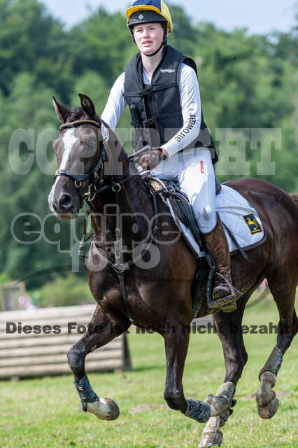 Goldene Schärpe 2021 - Ponys