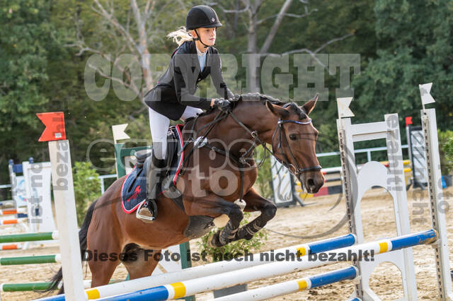 RFV Dinslaken-Hiesfeld (Herbstturnier)