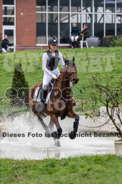 Goldene Schärpe 2020 - Pferde