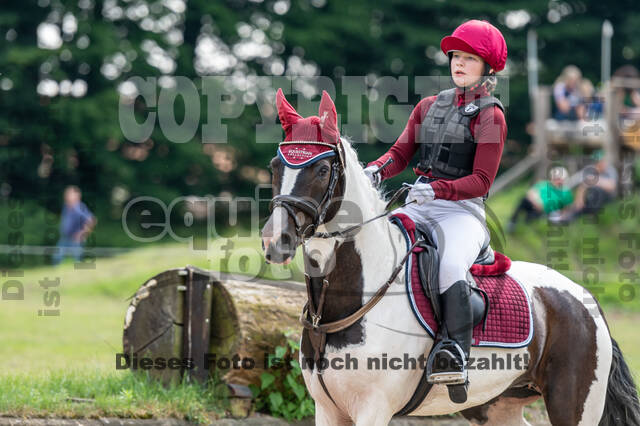 Goldene Schärpe 2021 - Ponys