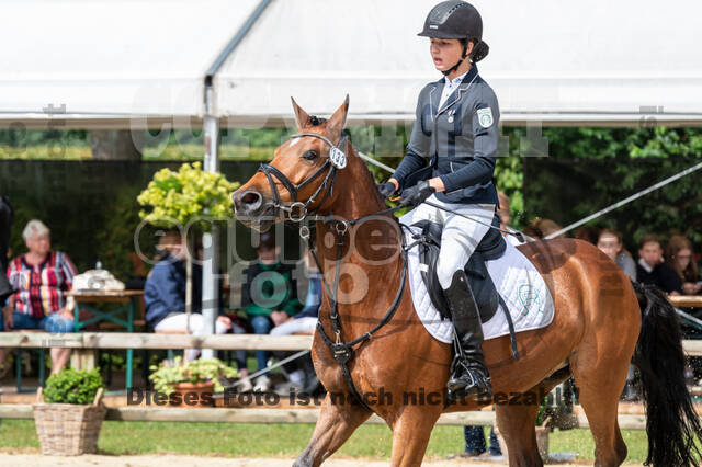 Goldene Schärpe 2021 - Ponys