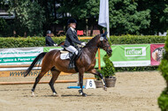 Goldene Schärpe 2021 - Ponys