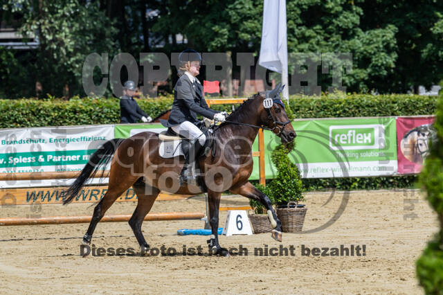 Goldene Schärpe 2021 - Ponys