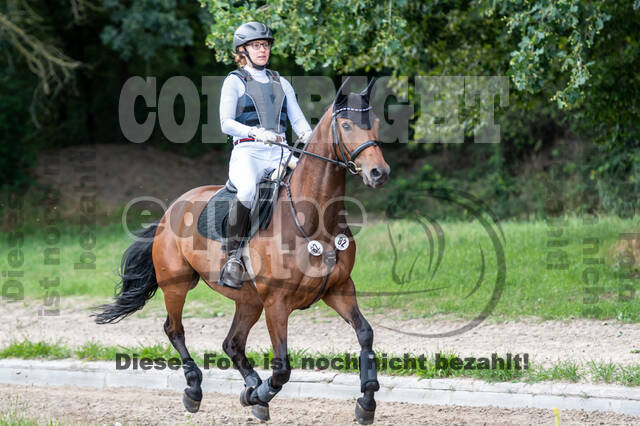 Late-Entry-Vielseitigkeit Langenfeld (06.+07.07.2020)