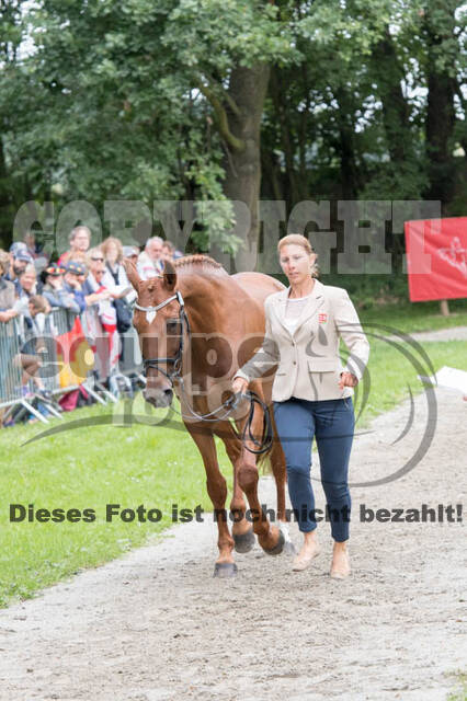 FEI European Championship Eventing 2017