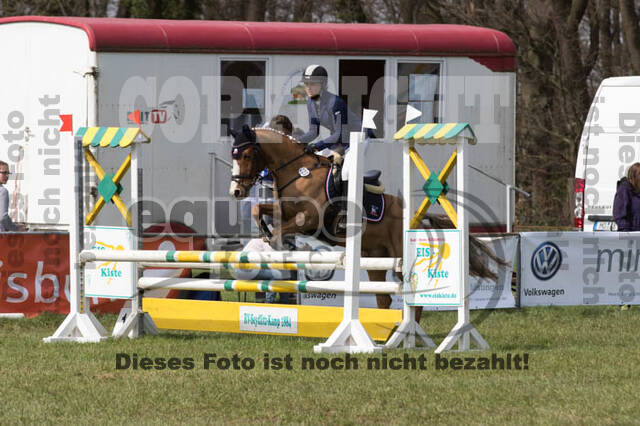 Frühjahrsvielseitigkeit RV Seydlitz Kamp