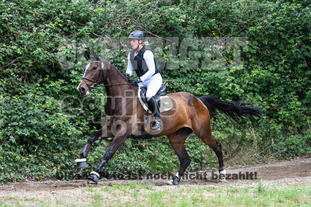 Late-Entry-Vielseitigkeit Langenfeld (11.+13./14.06.2020)