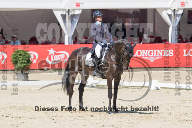 FEI European Championship