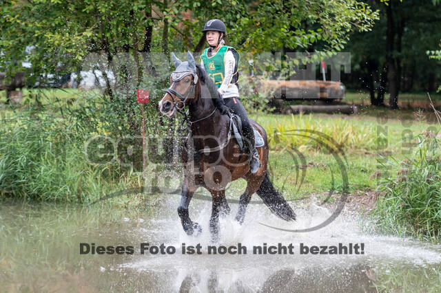 Vielseitigkeit RSV Wesel Obrighoven (26.+27.09.2020)