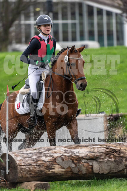 Goldene Schärpe 2020 - Pferde