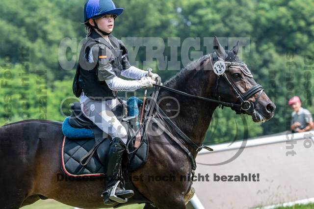 Goldene Schärpe 2021 - Ponys