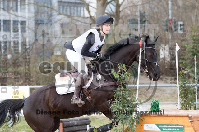 Eventing Langenfeld 2018