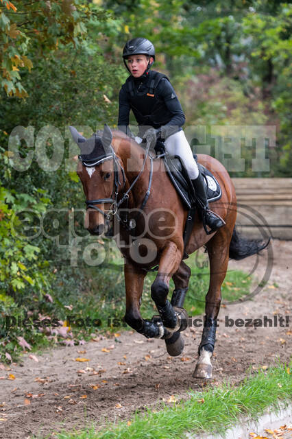 Goldene Schärpe 2020 - Pferde