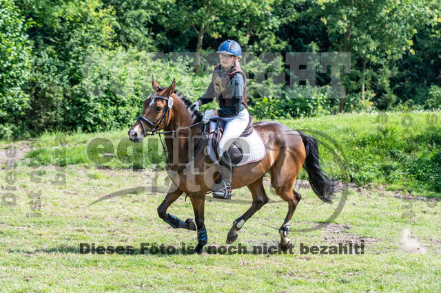 Goldene Schärpe 2021 - Ponys