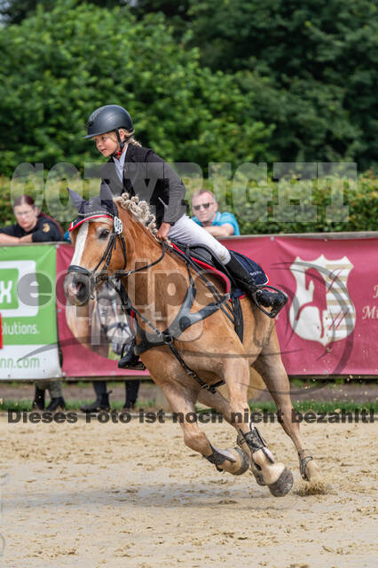 Goldene Schärpe 2021 - Ponys