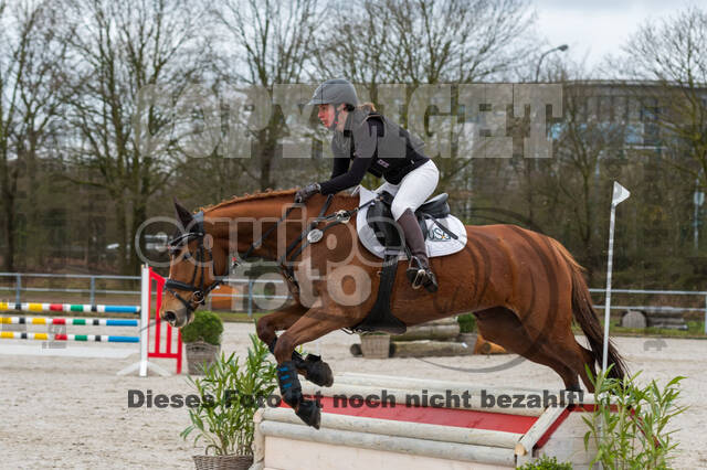 Eventing im Pferdesportzentrum Rheinland (Late Entry 14.03.2022)