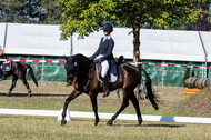 Kronenberg - De Peelbergen (August 2020)