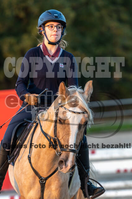 IGV Lehrgang der Sieger der Cups mit Frank Ostholt