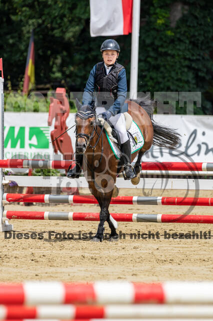 Goldene Schärpe 2021 - Ponys
