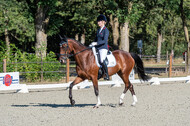 Kronenberg - De Peelbergen (August 2020)