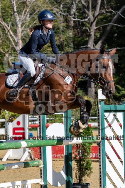 RFV Dinslaken-Hiesfeld (Herbstturnier)