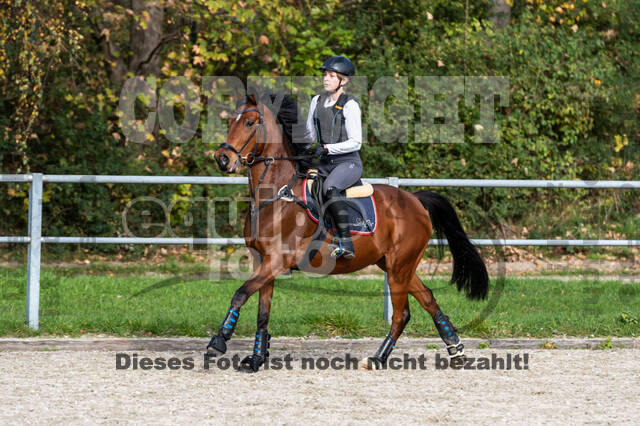 IGV Lehrgang der Sieger der Cups mit Frank Ostholt