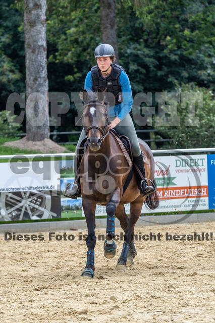 Hunter Geländetraining 10.07.2021 (Sonsbeck)