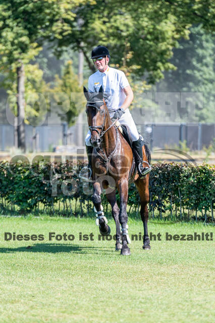 Kronenberg - De Peelbergen (August 2020)