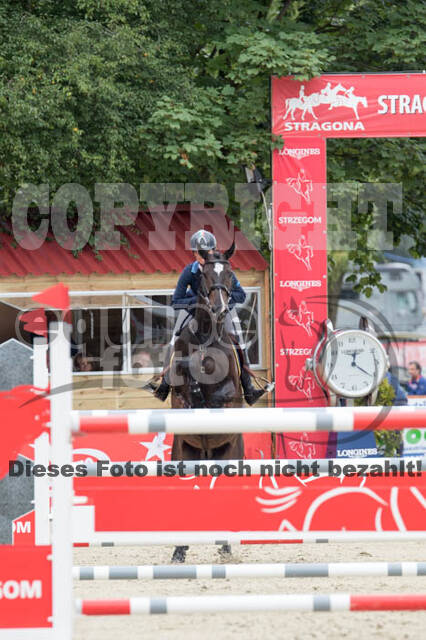 FEI European Championship