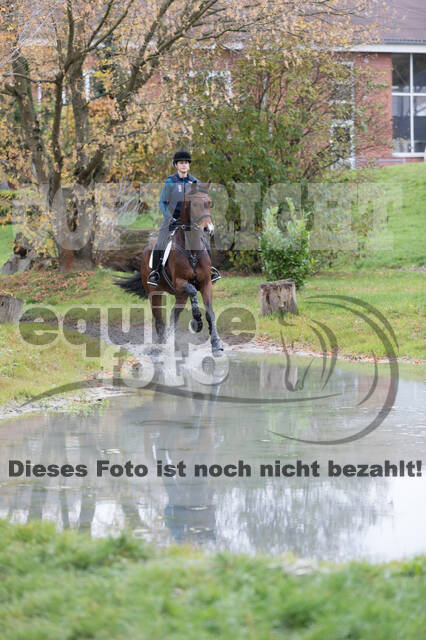 IGV Lehrgang der Sieger der Cups mit Frank Ostholt