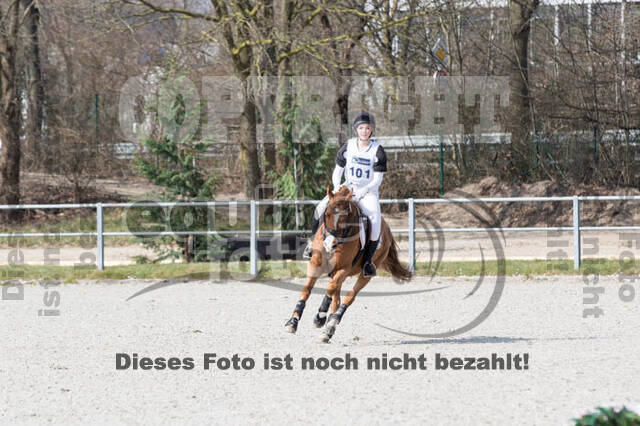 Eventing Langenfeld 2018